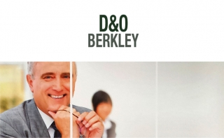 D&amp;O Berkley